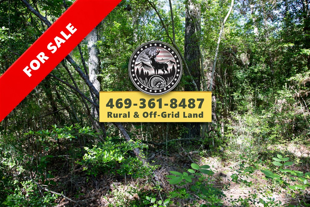 Rayburn Country Tract 204 - Primary