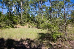 Rayburn Country Tract 205