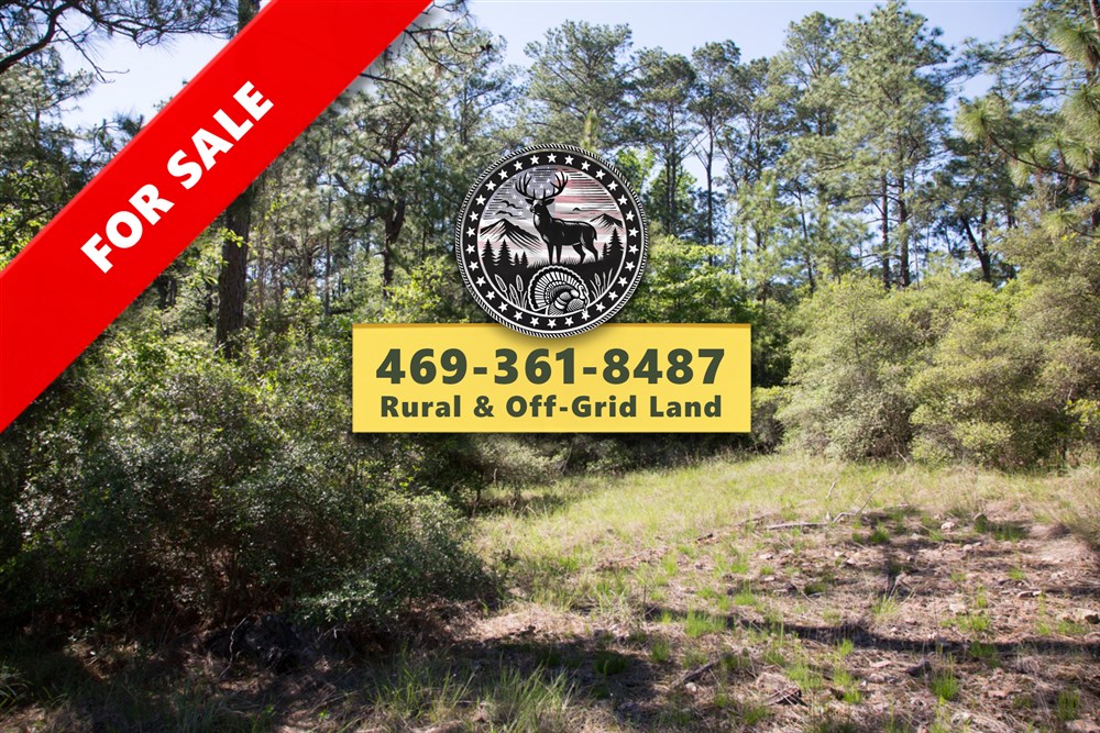 Rayburn Country Tract 205 - Primary