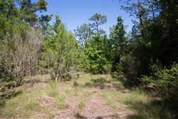 Rayburn Country Tract 285