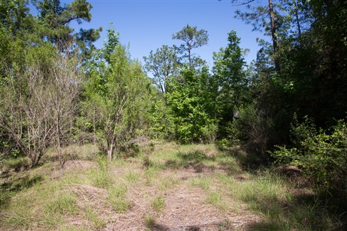 Rayburn Country Tract 285