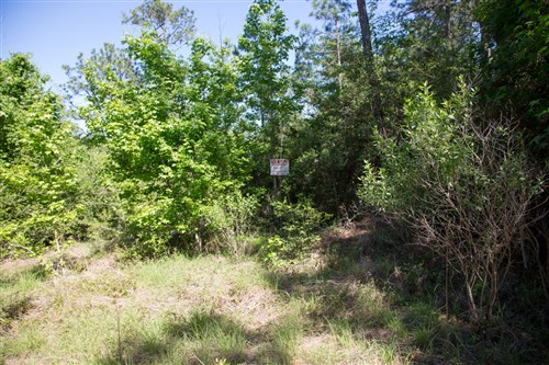 Rayburn Country Tract 285