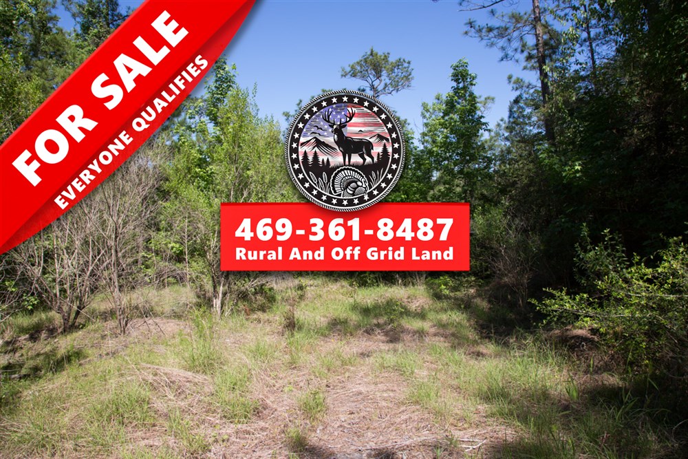 Rayburn Country Tract 285 - Primary