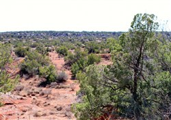 Red Rock Ranch Tract 13