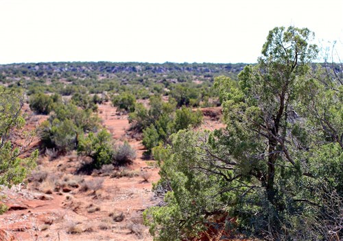 Red Rock Ranch Tract 13