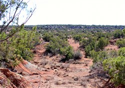 Red Rock Ranch Tract 13