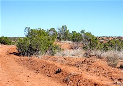 Red Rock Ranch Tract 13