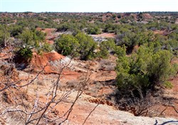 Red Rock Ranch Tract 13