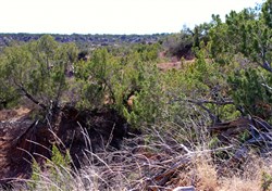 Red Rock Ranch Tract 13