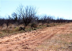 property photo for Red Rock Ranch Tract 14, 64.01 acres for sale in Knox County, Texas