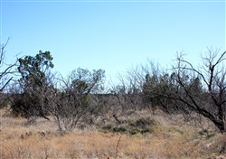property photo for Red Rock Ranch Tract 14, 64.01 acres for sale in Knox County, Texas