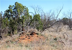 property photo for Red Rock Ranch Tract 14, 64.01 acres for sale in Knox County, Texas