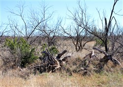 property photo for Red Rock Ranch Tract 14, 64.01 acres for sale in Knox County, Texas
