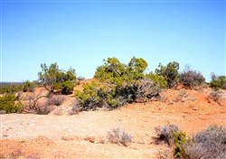 Red Rock Ranch Tract 5
