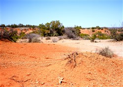 Red Rock Ranch Tract 5