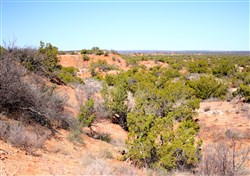 Red Rock Ranch Tract 5