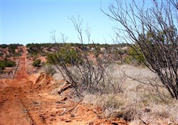 Red Rock Ranch Tract 7