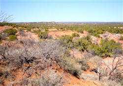 Red Rock Ranch Tract 7