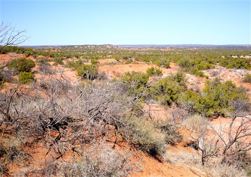 Red Rock Ranch Tract 7