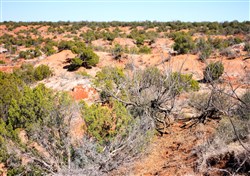 Red Rock Ranch Tract 7