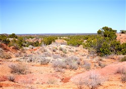 Red Rock Ranch Tract 7