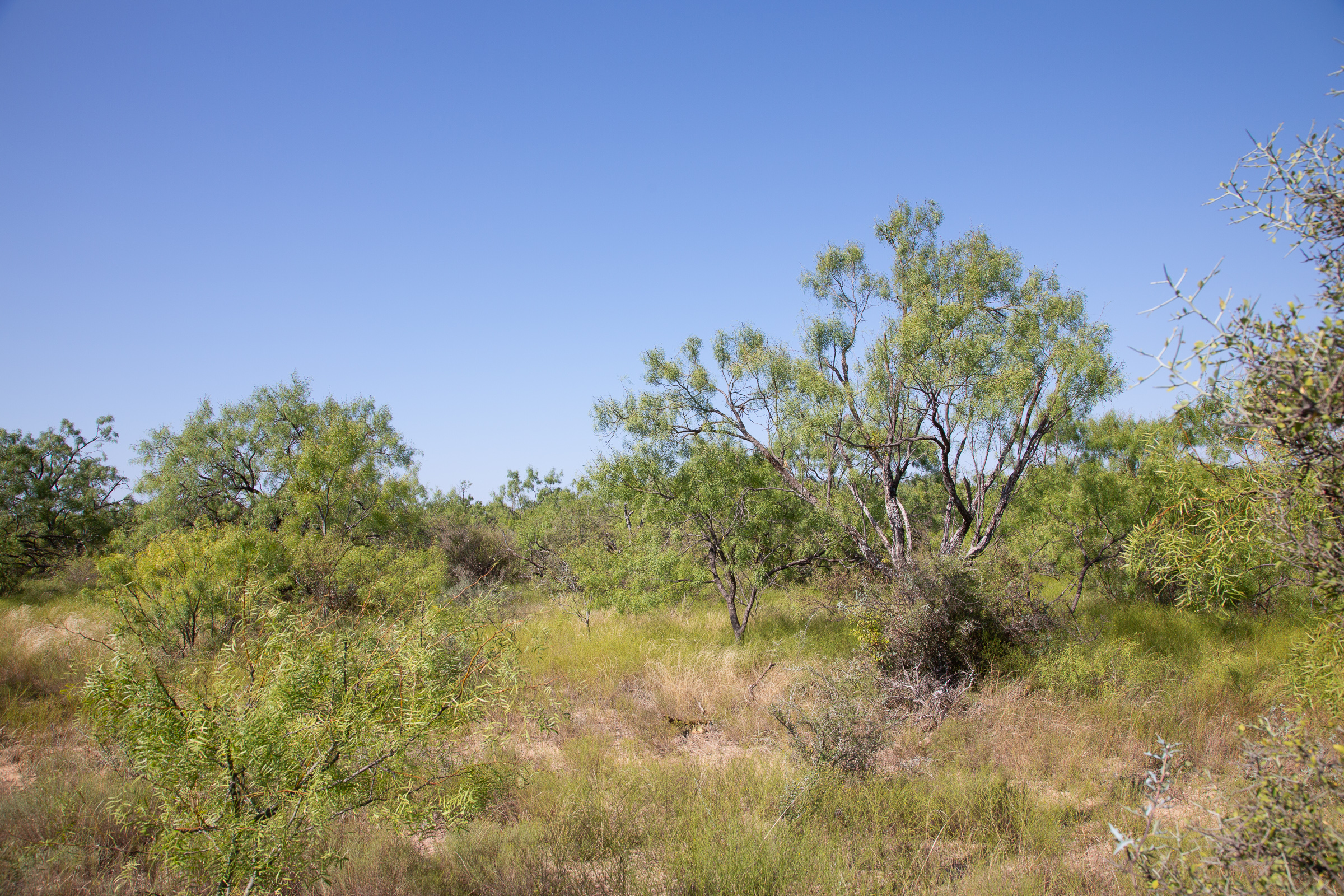 Tract 1 at Hunters Ranch in McCulloch County, Texas