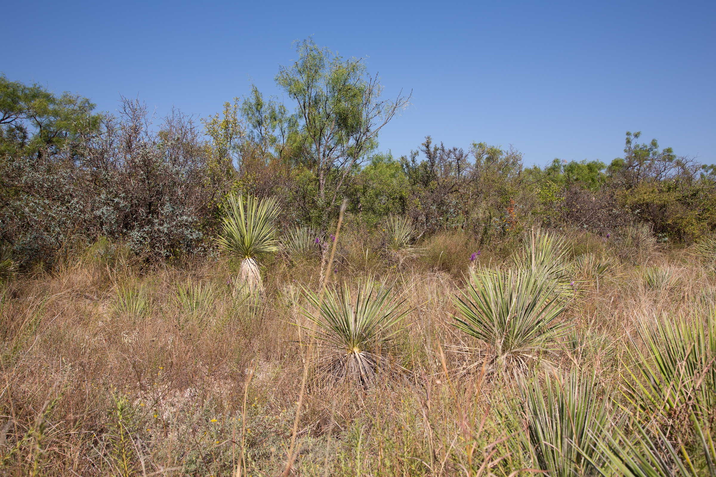 Tract 10 at Hunters Ranch in McCulloch County, Texas
