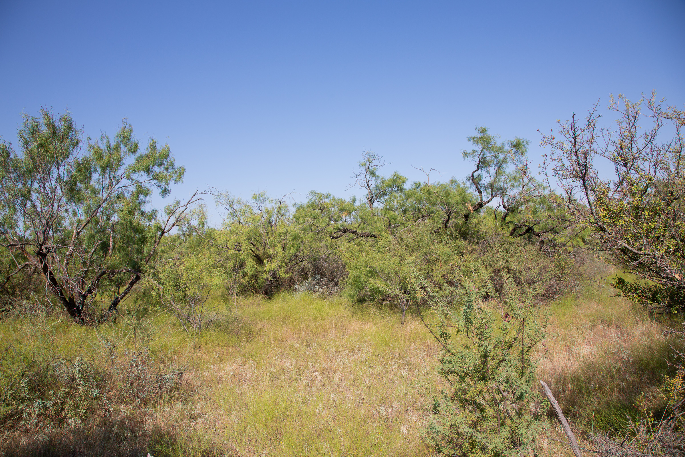 Tract 11 at Hunters Ranch in McCulloch County, Texas
