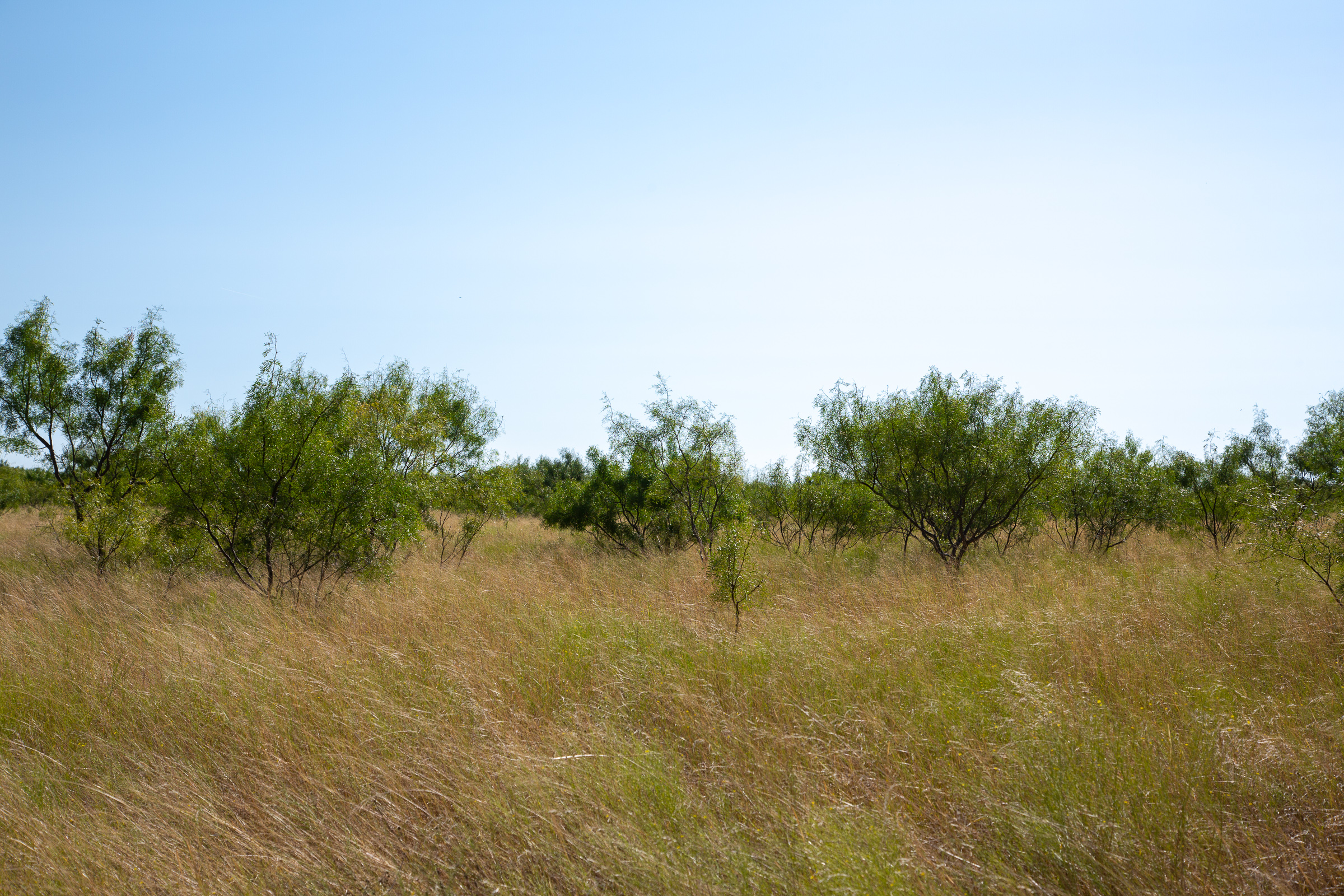 Tract 14 at Hunters Ranch in McCulloch County, Texas