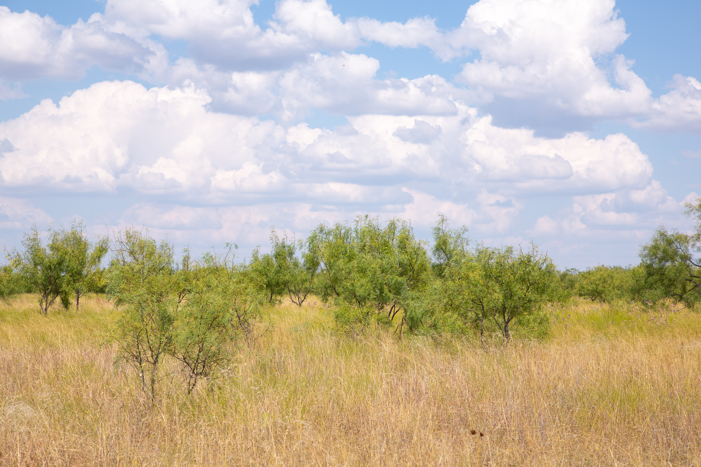 Tract 15 at Hunters Ranch in McCulloch County, Texas