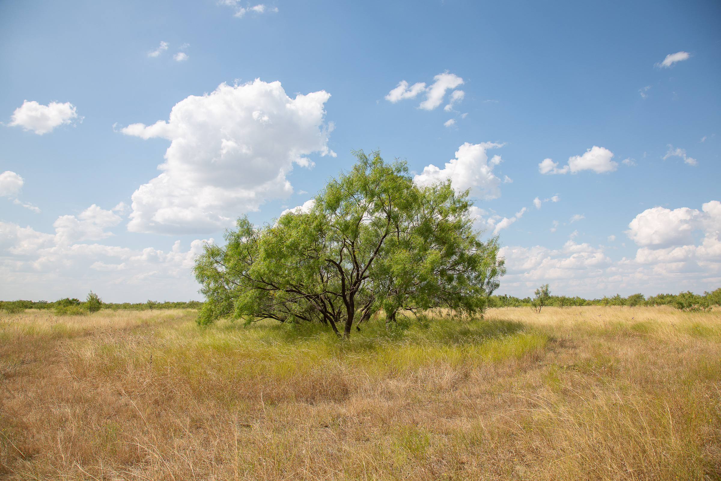 Tract 16 at Hunters Ranch in McCulloch County, Texas