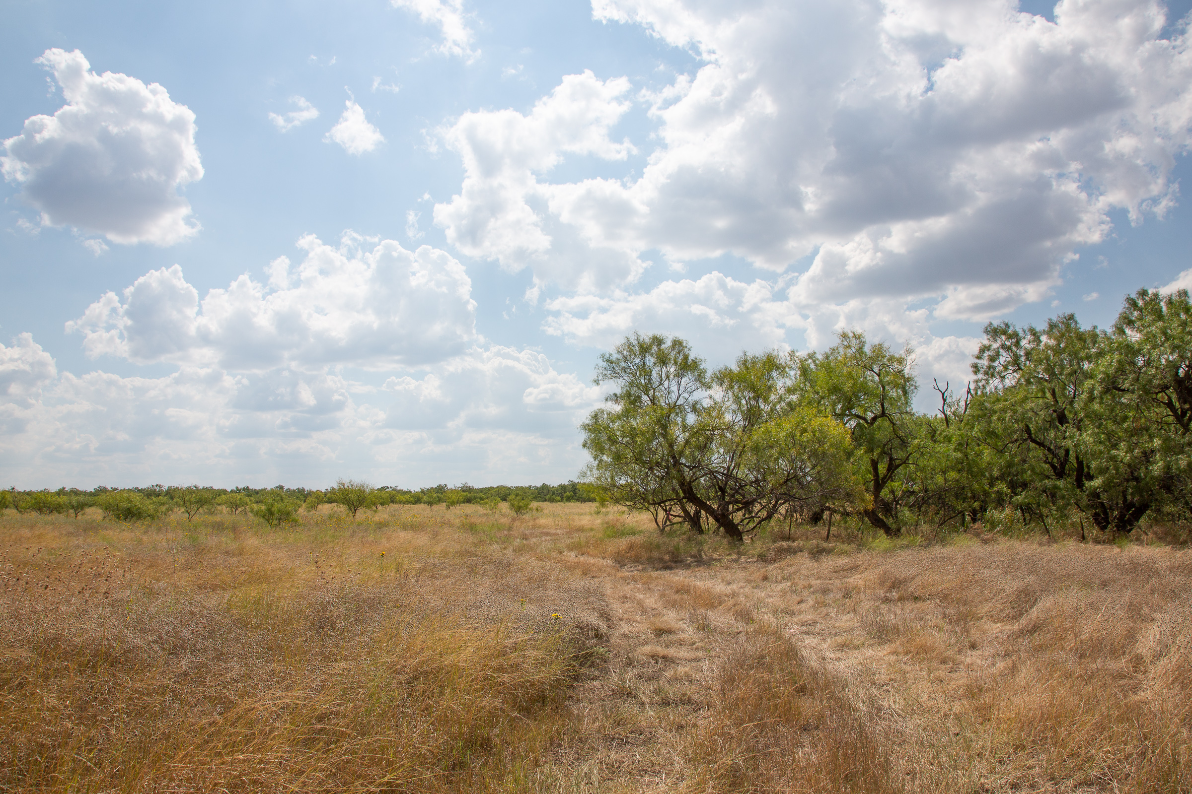 Tract 17 at Hunters Ranch in McCulloch County, Texas