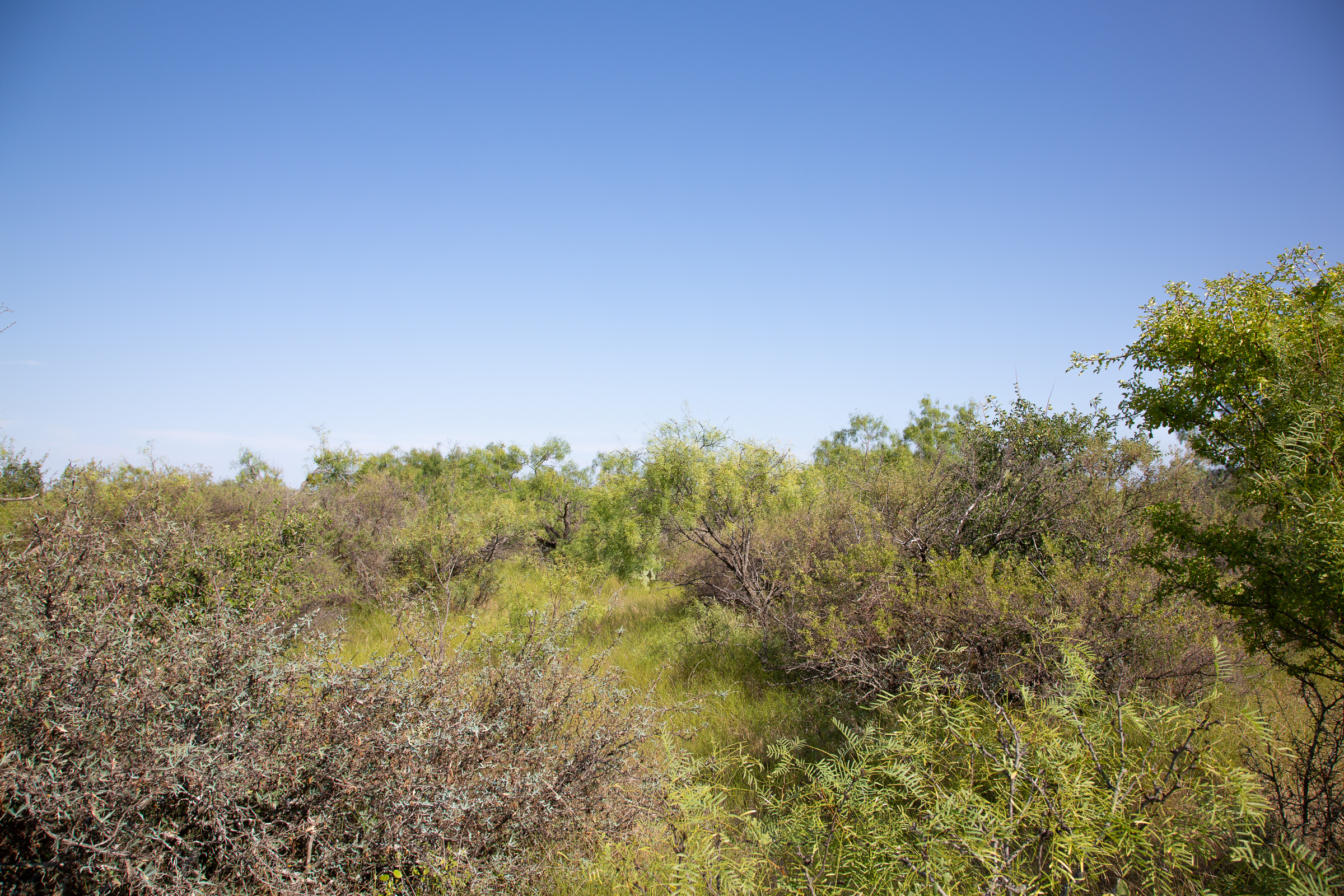 Tract 19 at Hunters Ranch in McCulloch County, Texas