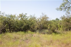 Hunters Ranch Tract 2