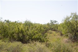 Hunters Ranch Tract 2