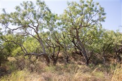 Hunters Ranch Tract 2