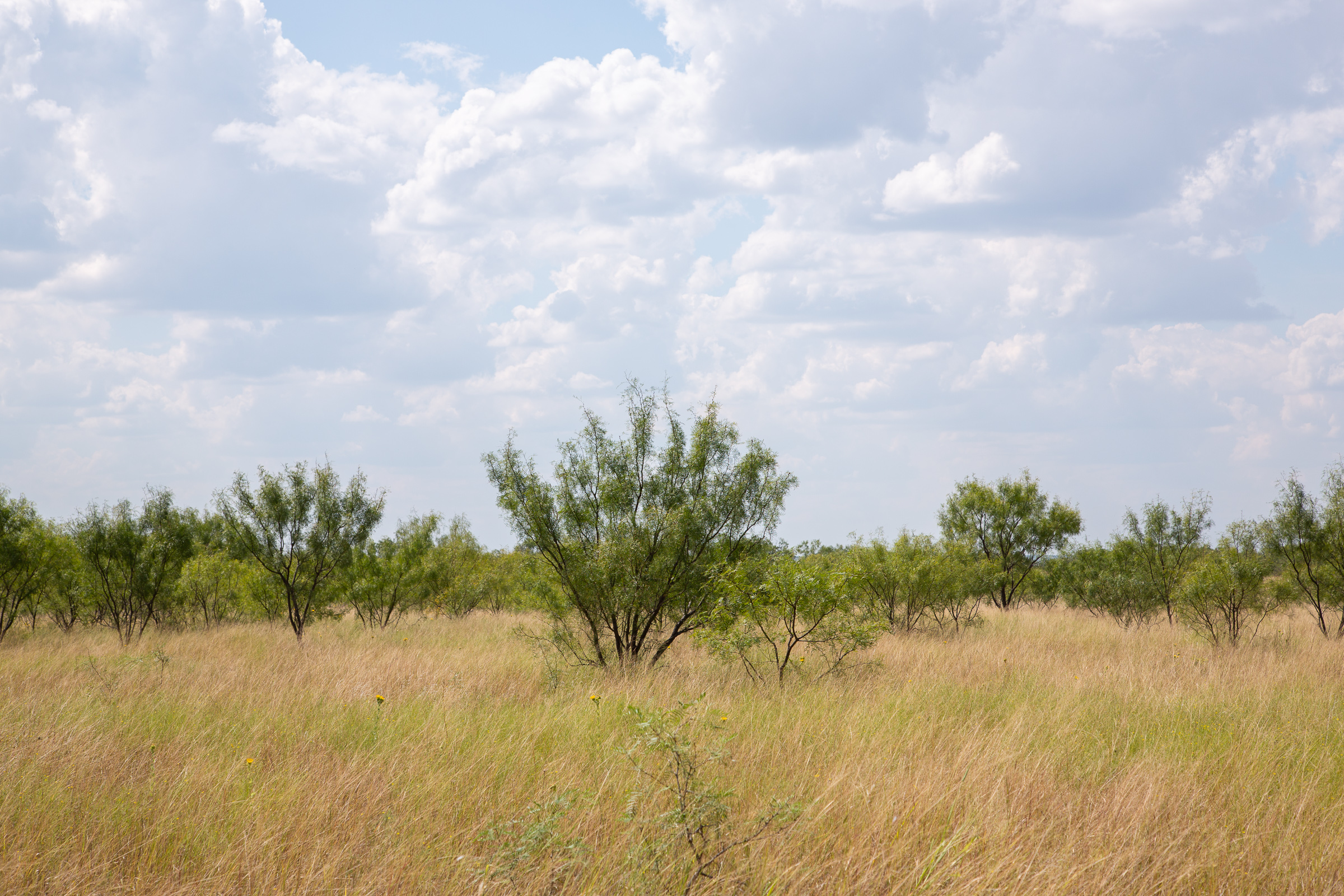 Tract 20 at Hunters Ranch in McCulloch County, Texas