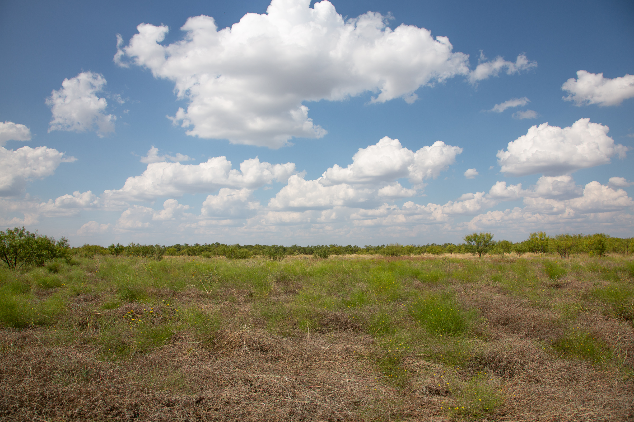 Tract 21 at Hunters Ranch in McCulloch County, Texas