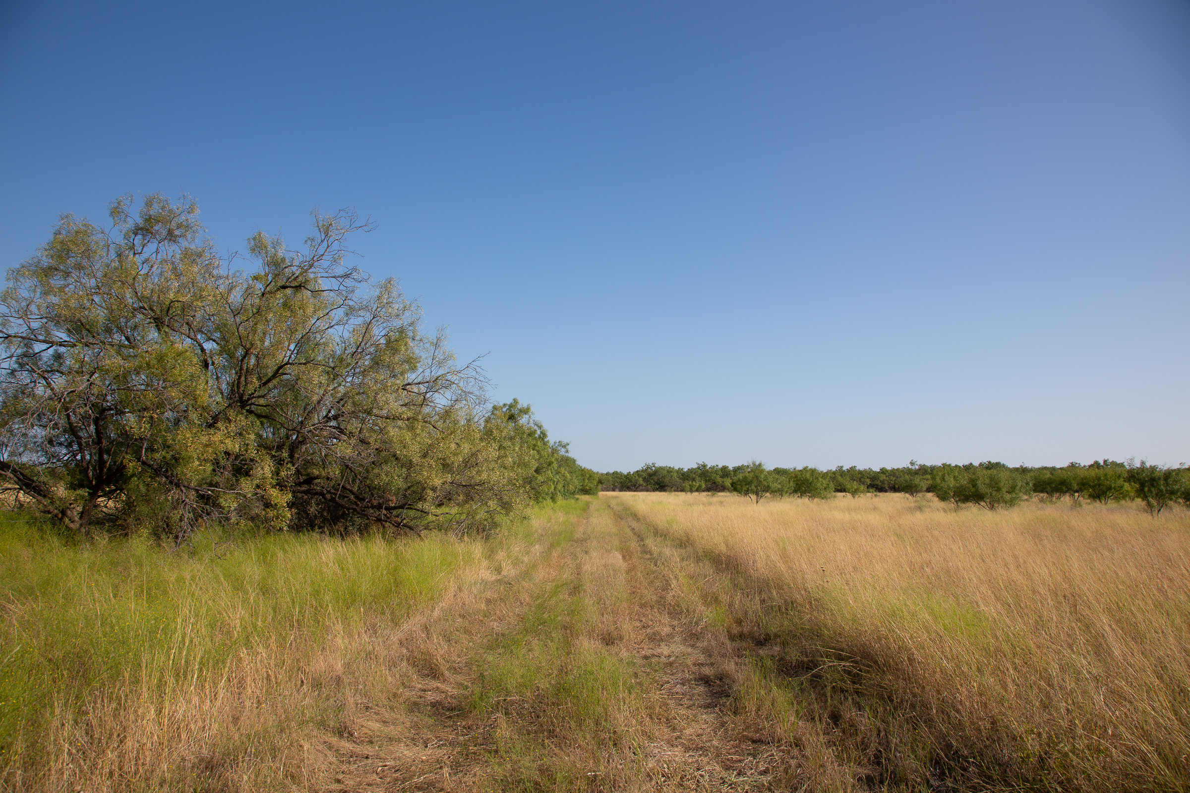 Tract 23 at Hunters Ranch in McCulloch County, Texas