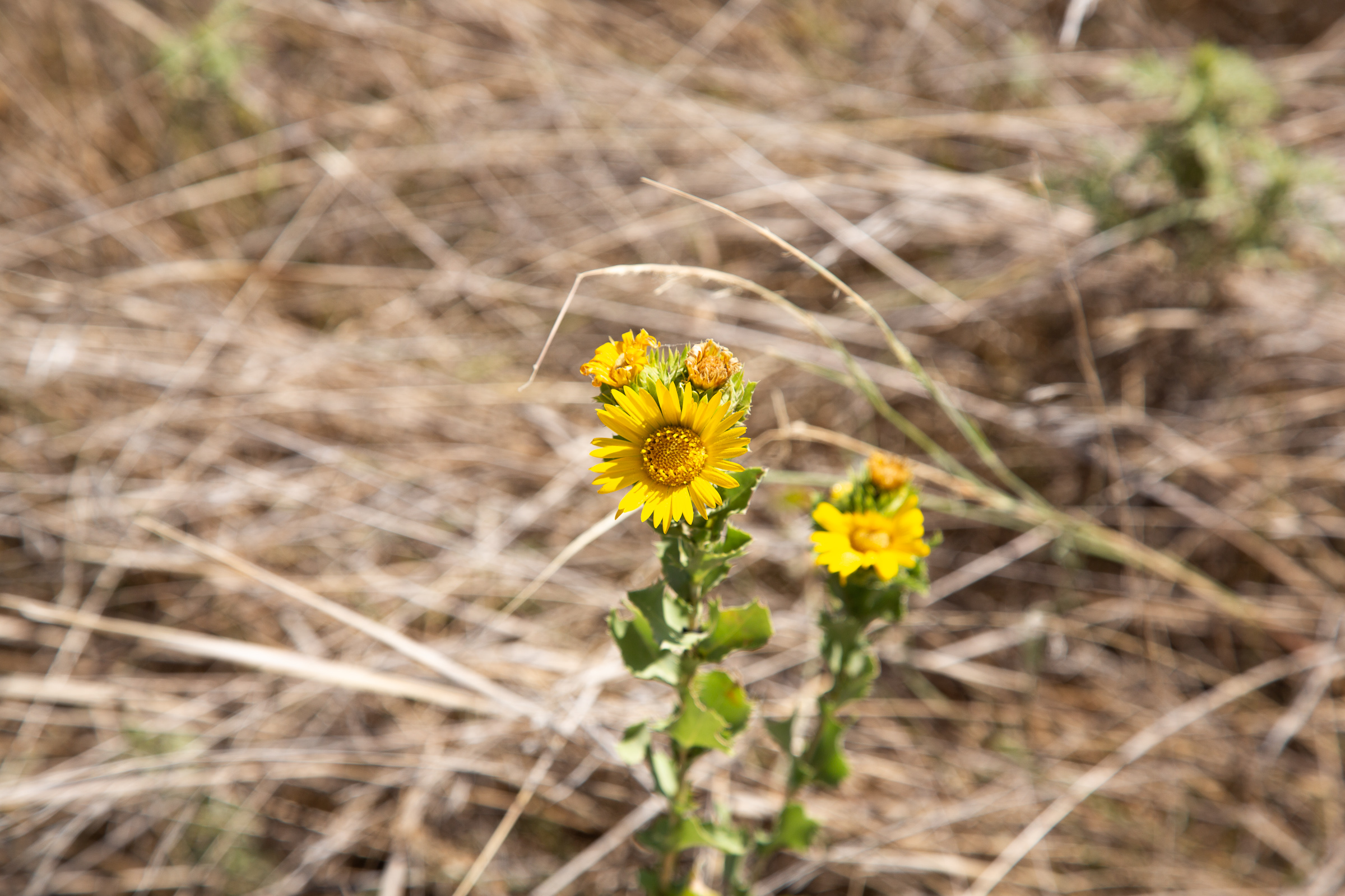Tract 24 at Hunters Ranch in McCulloch County, Texas