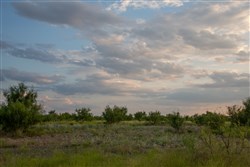 property photo for Hunters Ranch Tract 4, 11.15 acres for sale in McCulloch County, Texas