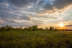 property photo for Hunters Ranch Tract 4, 11.15 acres for sale in McCulloch County, Texas