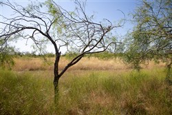 Hunters Ranch Tract 5