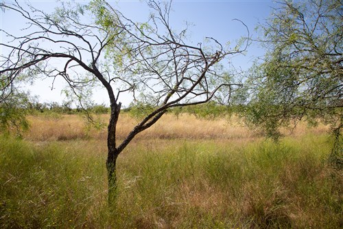 Hunters Ranch Tract 5