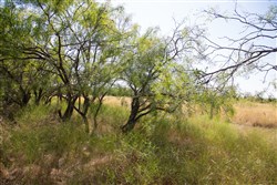 Hunters Ranch Tract 5