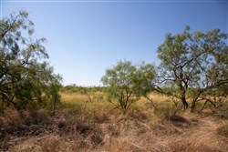 Hunters Ranch Tract 5