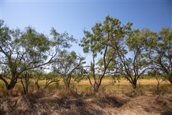 Hunters Ranch Tract 5