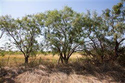 Hunters Ranch Tract 5