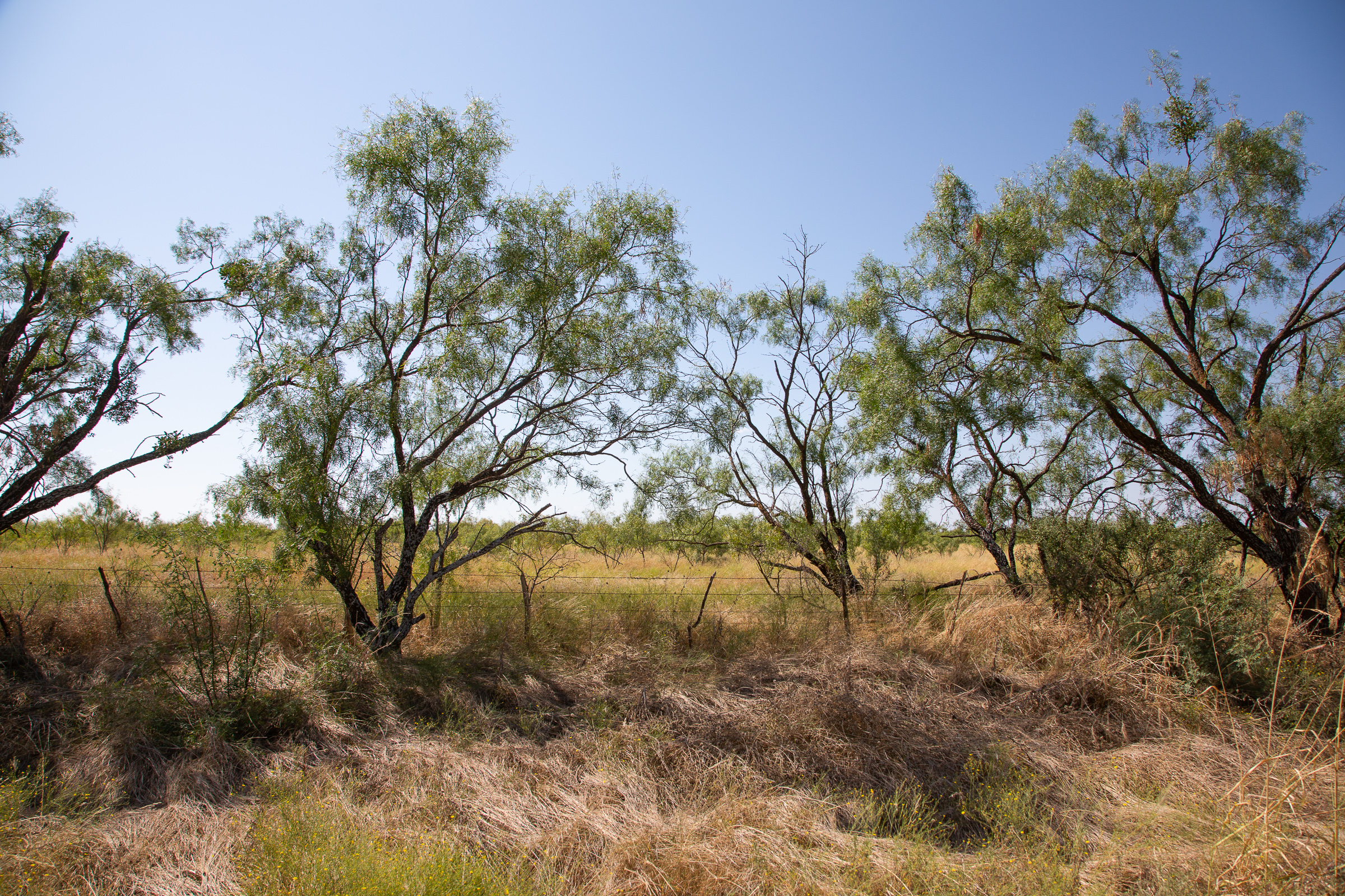 Tract 6 at Hunters Ranch in McCulloch County, Texas