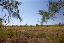 property photo for Hunters Ranch Tract 6, 11.4 acres for sale in McCulloch County, Texas